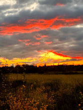 Load image into Gallery viewer, OBUSHKUDAYANG (HOME)